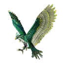 Pet skin equipped by Hᴀᴄʀʀ모ꔪ — Free Fire item