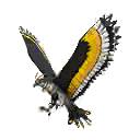 Pet skin equipped by ❤️  U  MOON — Free Fire item