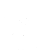 Pet skill equipped by AKASHIㅤXz — Free Fire item