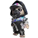 Pet skin equipped by AA.HUZAIㅤㅤ — Free Fire item