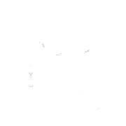 Pet skill equipped by Nivou♪ㅤツ — Free Fire item