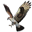 Pet skin equipped by XㅤBᴇRLiN❀ — Free Fire item