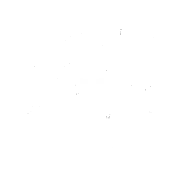 Pet skill equipped by ᄂᴵ李ʟɪᴀɴʜᴜᴀ — Free Fire item